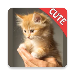 Icono de CUTE CATS Memory matching Game